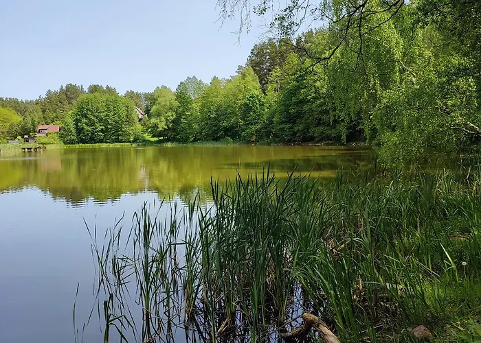 W Skarpie łutynowo * Lutynowo