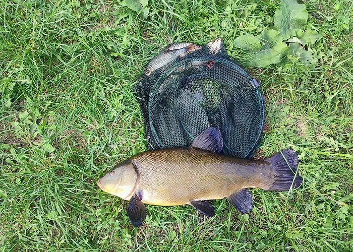 W Skarpie łutynowo Apartament